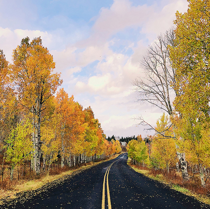 Key-Achievements-2024